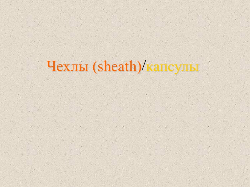 Чехлы (sheath)/капсулы